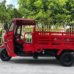 250cc Motorized Cargo Tricycle Heavy Loading Trike Motorcycle Made in China Three Wheel Engine Chinses Tricycles 201 - 250cc 12V