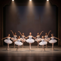 Vestido de Ballet Profesional Fitdance Kids White Swan para Niñas, con Plumas y Pedrería, Disfraz para Actuaciones en Escenario, Disponible en Stock