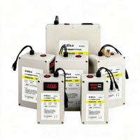 Batterie au lithium semi-solide 12V - Ultra-légère, 3000 cycles, stockage d'énergie, alimentation de secours pour LED solaires extérieures