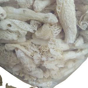 Jamur Bambu Kering Alami Phallus Indusiatus Jamur yang Dapat Dimakan - Product Image 2