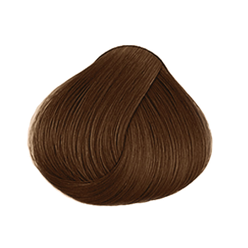 ชาไข่มุกกล่อง 1 กล่อง - ชาไข่มุกกลมกล่อม