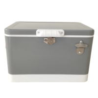 Secchiello Termico in Metallo da 30L/40L/50L, Nuova Idea di Prodotto, Contenitore Refrigerante per Picnic