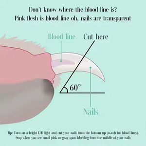 سكين تشذيب مخلب كهربائي صغير احترافي أدوات تجميل أظافر الحيوانات - Product Image 6