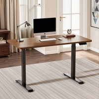 Bureau debout intelligent PRORIALS à double moteur, réglable en hauteur avec mémoire de position, structure en acier pour ergonomie au bureau à domicile