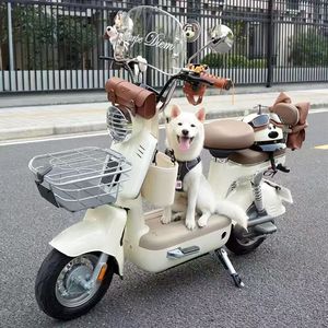 Bicicleta Eléctrica al por Mayor para Ciudad con Motor de 48V 350W, Económica para el Desplazamiento Diario, Modelo Y2-MD - Product Image 1