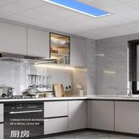 Lumière artificielle d'intérieur Lumière du soleil Lampe CRI haute luminosité Fenêtre encastrée Blue Sky Rooflight Faux LED Plafond Virtuel Skylight Panel Light