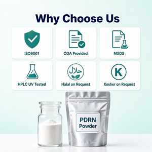 ผง PDRN เกรดเครื่องสำอาง ความบริสุทธิ์ 99% ดีเอ็นเอ<span class=keywords><strong>ปลา</strong></span><span class=keywords><strong>แซลมอน</strong></span> โพลีเดอไซริโบไนตรอยด์ วัตถุดิบสำหรับเซรั่ม ครีม ต่อต้านริ้วรอย - Product Image 5