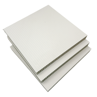 Panneaux de coffrage en plastique alvéolaire pour dalles de béton 1220x2440x18