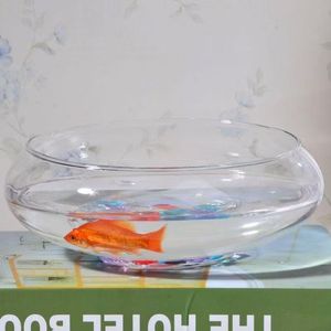 Atacado moderno de grande diâmetro vaso de vidro transparente Narciso pote Hidropônico pennywort tigela Lotus tigela - Product Image 4