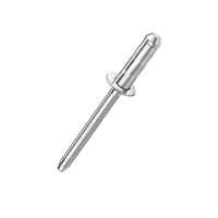Rivet à tête bombée en acier inoxydable 304 industriel, à extrémité fermée, multi-grip, antidérapant, à mandrin à double pince, à œillet aveugle