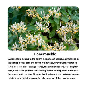 น้ำหอมกลิ่นอาหรับแบรนด์วิคตอเรียสำหรับผู้ชายผู้หญิงน้ำมันน้ำหอมแบรนด์ลับวิคตอเรียสำหรับการทำน้ำหอม - Product Image 4