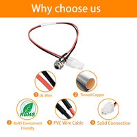 Câble de connexion personnalisé MOLEX 2PIN 0,5 MM avec isolation en PVC