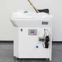 Équipement de Spa Cérébral BoJue pour Salon de Beauté, Lavabo Thaïlandais à Vapeur Circulaire pour Cheveux, Lit de Shampooing Électrique à Circulation d'Eau