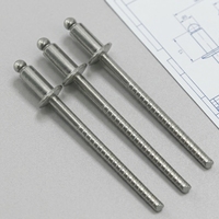 Rivetti Ciechi a Testa Bombata All'ingrosso per Fabbriche, Scatola da 3.2x12.7mm, Rivetti Ciechi a Punta Aperta in Acciaio Inossidabile 304, 1/8 X 1/2, Scatola DIN7337