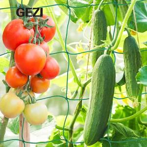 Trellis lưới lưới nhà máy trellising hỗ trợ leo núi đóng cọc dưa chuột CuộN 3.5 "hình vuông 5*30 màu xanh lá cây trắng lưới nylon CuộN - Product Image 5