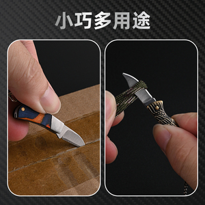 Özelleştirilebilir Paslanmaz Çelik Sabit Namlulu Av Bıçağı Seti Bowie Bıçağı Ahşap Saplı Açık Hava Kampı İçin OEM Desteği ve Kendin Yap Seçenekleriyle Sunulur - Product Image 5