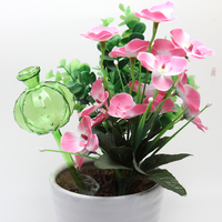 Plante en pot verre Cactus forme auto-arrosage jardin eau goutte à goutte Globes pour la maison arrosage et décoration écologique
