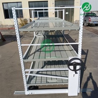 Système d'irrigation hydroponique pour serres agricoles, avec tables de culture roulantes, plateaux et bacs de semis à flux et reflux