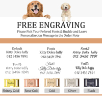 Ensemble collier et laisse en velours côtelé pour chien avec étiquette en silicone, kit de promenade réglable pour animaux de compagnie, vente en gros, logo personnalisé pour chiens de petite et moyenne taille, usage quotidien
