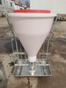 Attrezzature per l'allevamento di animali da allevamento mangiatoia automatica per suini da ingrasso suini alimentatori a secco - Product Image 5