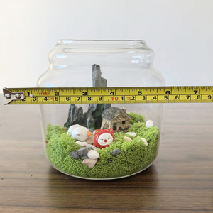 Vaso in Vetro Trasparente con Coperchio in Sughero per Decorazione Mini Paesaggio <span class=keywords><strong>Naturale</strong></span> con Piante da Tavolo per <span class=keywords><strong>Casa</strong></span> e Ufficio 15cm - Product Image 5
