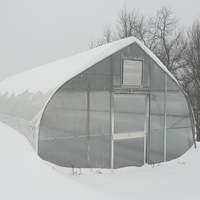 Serres à structure gothique à tunnel haut économique pour la culture de légumes et de tomates, serre à arche en film