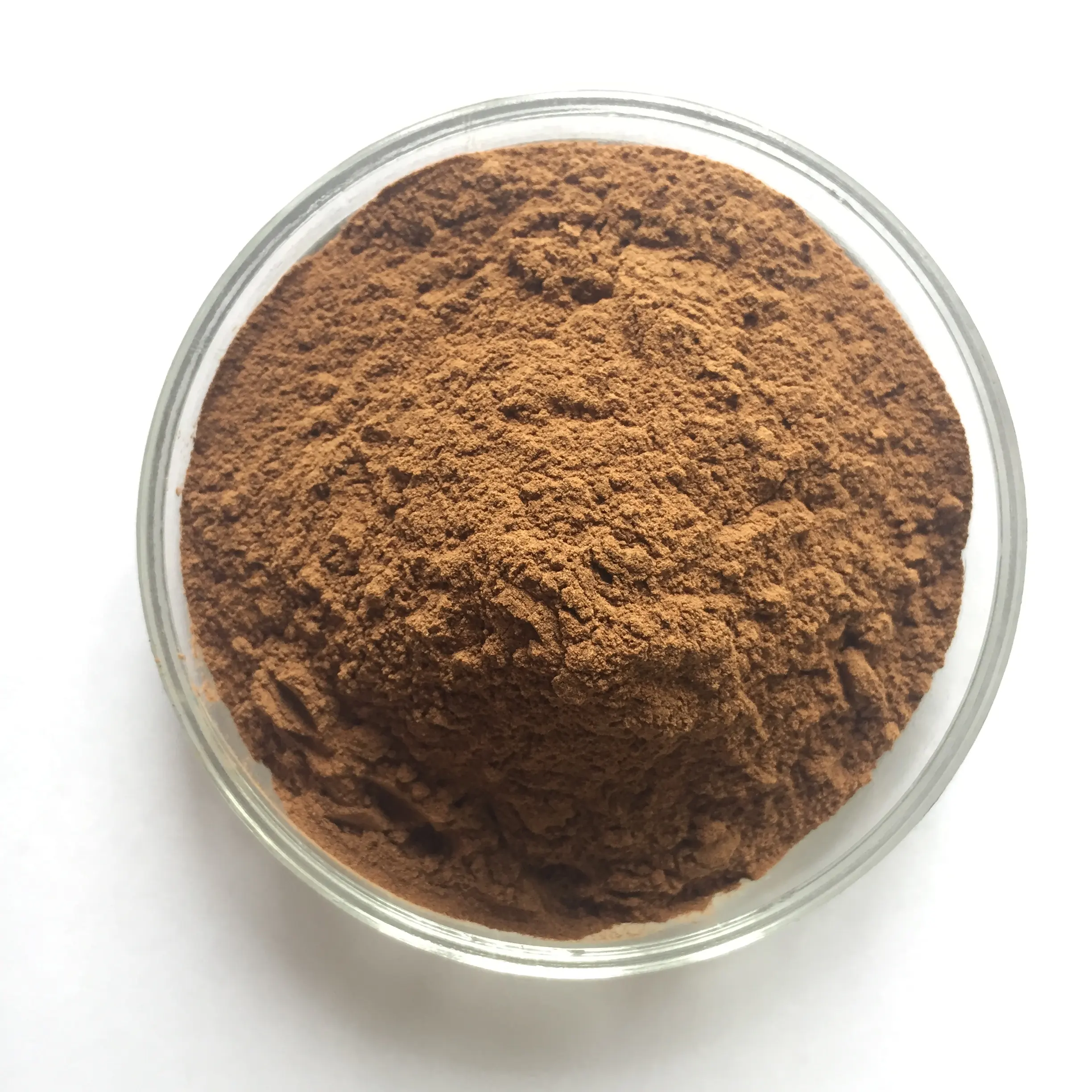 Fornitura all'ingrosso estratto di radice di Cohosh nero in polvere estratto di Cimicifuga Racemosa in polvere estratto di Cohosh nero