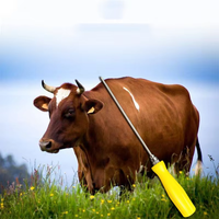 Aiguille de trocart en acier inoxydable pour instruments chirurgicaux vétérinaires Dégonflage de l'estomac des moutons Ponction du rumen