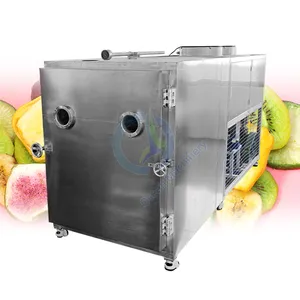 OCEAN Large 100 Kg Vacume Freeze Dryer Machine Lyophilizer Honey Powder Freeze Drying Fruit Machine