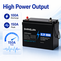 Baterai LiFePO4 48V 100Ah, Baterai Lithium Iron Phosphate 51.2V dengan BMS Pintar untuk Penyimpanan Energi Rumah & Penggunaan Industri.