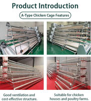Cages à poules pondeuses à haute efficacité, systèmes d'élevage multi-niveaux automatiques en volière libre pour un meilleur bien-être animal, type A/H