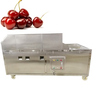 Machine à dénoyauter les cerises automatique commerciale, machine industrielle automatique de retrait des pépins, <span class=keywords><strong>dénoyauteur</strong></span> électrique <span class=keywords><strong>professionnel</strong></span> pour cerises - Product Image 2
