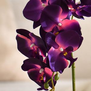 Grande Pianta di Orchidea Artificiale <span class=keywords><strong>in</strong></span> <span class=keywords><strong>Vaso</strong></span>, Composizione Floreale <span class=keywords><strong>in</strong></span> Seta con <span class=keywords><strong>Vaso</strong></span> <span class=keywords><strong>in</strong></span> Ceramica, Viola Scuro - Product Image 2