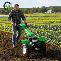 Herramienta Agrícola de 4 Ruedas con Rotación Hacia Adelante y Hacia Atrás, con Accesorio de Arado y Surcador, Caja de Cambios de Repuesto, Piezas de Cuchillas para Tractor de Arrastre