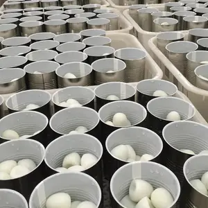 High Quality Of Canned Quail Eggs For Export
