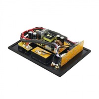 Théâtre Audiophile Subwoofer Amplificateur Board Plate Amp Subwoofer Ethics Sound Rated 200W Output