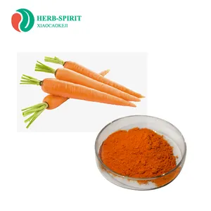 Extrait de carottes fermentées naturelles, en poudre, de haute qualité, 10% 20% cw