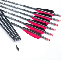 Pinals Archery Carbon Arrows, Free Shipping, Spine 300, 400