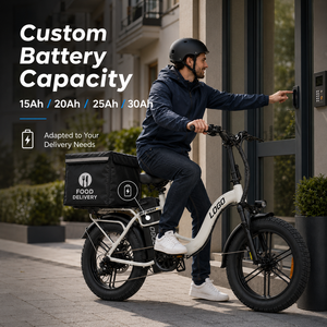 Bicicleta Eléctrica con Llantas Gruesas 20x4.0, 48V 50Ah, Batería de Gran Capacidad, Parámetros de Motor Personalizados, Bicicleta Eléctrica de Carga - Product Image 1