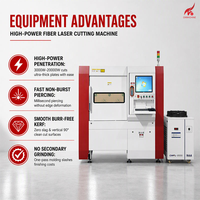 Système de découpe laser à fibre haute performance 3000W-20000W avec double servomoteur et source laser personnalisable pour l'usine de fabrication métallique