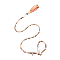 Laisse anti-traction brusque pour chien, type corde en P, en nylon, avec boucle alphabet, pour chiens de petite et moyenne taille, entraînement et promenade