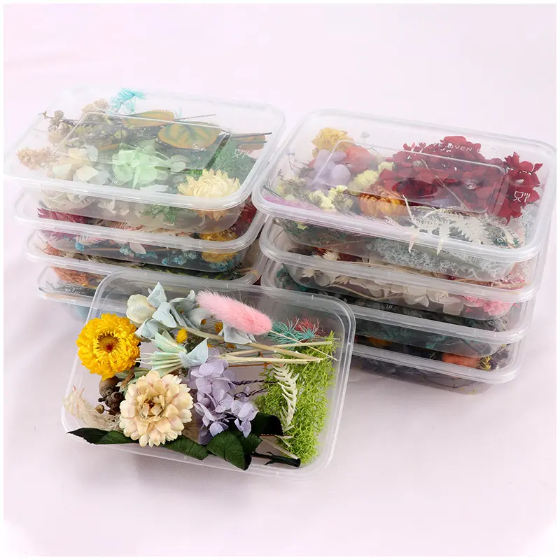 Hot sale DIY Dried Pressed Flowers Dry Flower