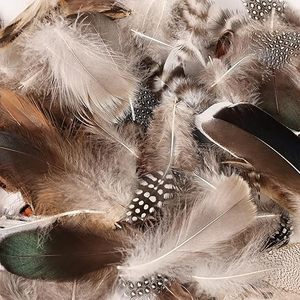 300 petites <span class=keywords><strong>plumes</strong></span> de faisan naturelles, 10 styles mixtes, décoratives et tachetées, pour l'artisanat DIY, <span class=keywords><strong>les</strong></span> vêtements, <span class=keywords><strong>les</strong></span> bijoux et la décoration des cheveux - Product Image 4