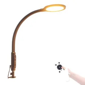 Metal clip Hot sale Remote Control Eye care Clamp Desk Lamp LED gooseneck long arm study lighting office work computer lampe oem