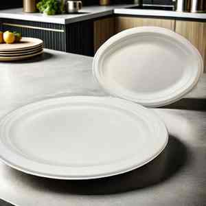 Boîte jetable de récipient de nourriture de bagasse pour des nouilles avec la stratification de Matt et la manipulation d'impression de gaufrage - Product Image 6