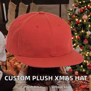 Custom Logo Plush Cap Embroidered Polyester Snapback <b>Hat</b> Winter <b>Party</b> Festival Headwear - Product Image 5