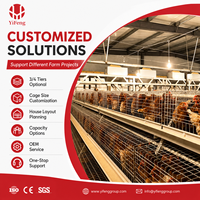 Système de cages à poulettes haute densité à 3, 4 ou 5 niveaux en fil d'acier galvanisé soudé pour l'élevage de poussins, destiné à l'équipement d'élevage avicole