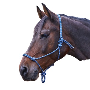 Mejor calidad cuerda Halter de caballo en todos los colores disponibles fabricante en la India - Product Image 1