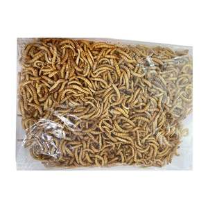 Venda Direta Da Fábrica Natural Seco Mealworm Bread Worms Pet <span class=keywords><strong>Food</strong></span> para Hamsters Pássaros Outros Pequenos Animais - Product Image 4