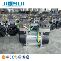 Compresseur d'air à piston sans huile DC 12/24V 200W avec roulement pour usage médical
